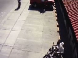 El hecho ha sido criticado por usuarios que se preguntan cómo fue posible que el dueño no pusiera seguridad alguna. ESPECIAL /