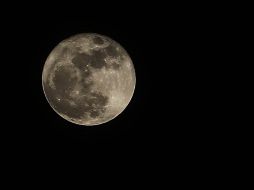 El astro alcanzará su punto más próximo a la Tierra este día en punto de las 20:05 horas del centro de México. EL INFORMADOR / ARCHIVO