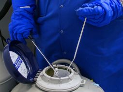 El tejido ovárico de Moaza Al Matrooshi fue congelado cuando tenía nueve años. ESPECIAL / www.leeds.ac.uk/