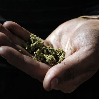 Uso medicinal de mariguana hasta 2017: César Camacho