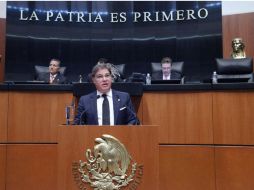 Fernando Mayans señaló que el objetivo de la reforma es proteger y no dejar indefensas a las familias. ESPECIAL /