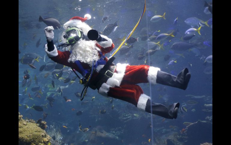 El buzo George Bell lució su traje de Santa Claus y nadó entre corales y peces. AP / J. Chiu
