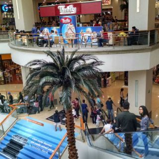 Inicia operativo 'Blanca Navidad' en Zapopan