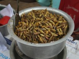 Cuando se fríen, los verdes saltamontes cambian a un color dorado y despiden un aroma a tierra que encanta a los entusiastas. AP / S. Wandera