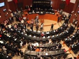 El objetivo es que el Senado construya una filosofía entre sus trabajadores acerca del cuidado de la naturaleza. SUN / ARCHIVO