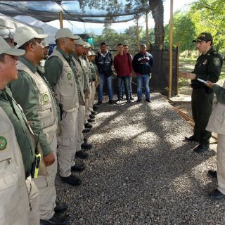 Amnistía de Colombia debe cumplir estándares internacionales: ONU