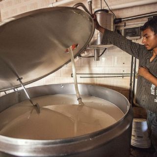 Establecen impuesto a productos lácteos