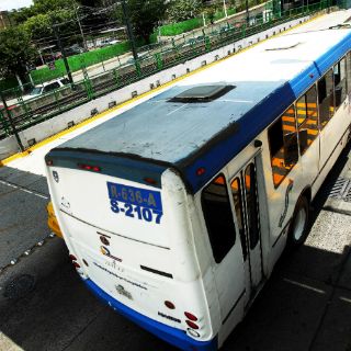 Sistecozome no desaparecerá en el corto plazo