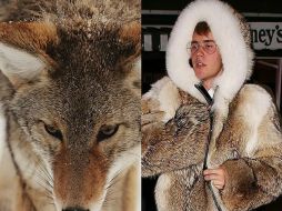 La PETA publicó en Instagram una imagen de Bieber con el abrigo y, al lado un coyote. INSTAGRAM / peta