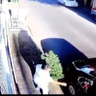 Pareja roba árbol de Navidad y son captados en video