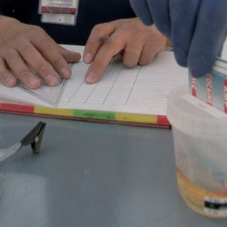 El COI inicia proceso contra 28 atletas rusos