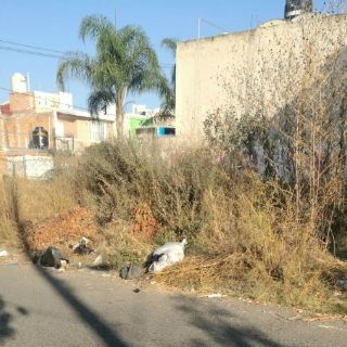 Dejan cuerpo en lote baldío de Guadalajara