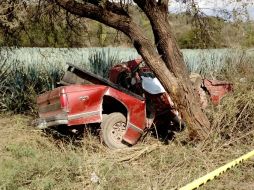 Autoridades investigarán las causas del percance. ESPECIAL / Protección Civil Jalisco