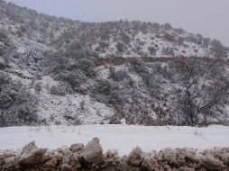 La temperatura mínima que se presentó hoy en Sonora fue de cero grados centígrados. NTX / ESPECIAL