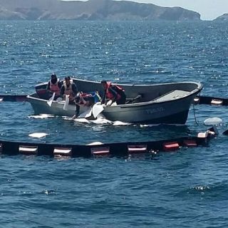 Marinos rescatan a cuatro pescadores en altamar
