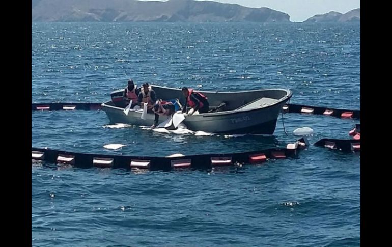 Personal de la Secretaría de Marina-Armada localizó y rescató a la embarcación 'Hulkin 168'. EFE / ARCHIVO