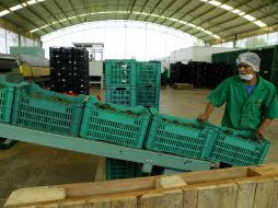 La economía de todo el país depende del mercado estadounidense. EL INFORMADOR / ARCHIVO