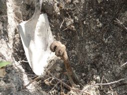 Los restos humanos fueron ubicados luego de una llamada al número de emergencias 066. SUN / ARCHIVO