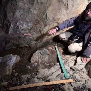 Los Neandertales eran caníbales, confirma estudio