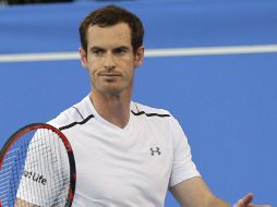 El escocés fue la sensación de la parte final de 2016, donde arrebató la cabeza de la clasificación mundial a Novak Djokovic. EFE /