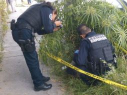 Policías relatan que el detenido aprovechó que los habitantes de la casa la dejaron sola para entrar a robar. ESPECIAL /