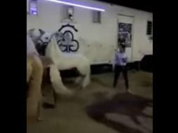 Los hechos ocurrieron el 1 de enero en Durango, en la cuadra del rejoneador capitalino. YOUTUBE / I'm The Mockingjay