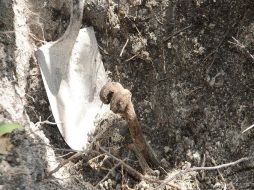 Tras el hallazgo, se intensificó el operativo de vigilancia en la región de la Tierra Caliente. SUN / ARCHIVO