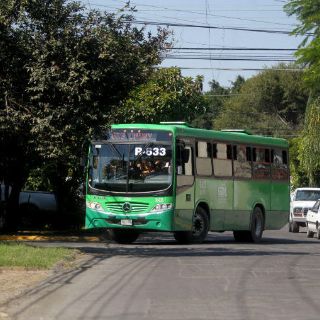 Semov anuncia medidas emergentes contra paro camionero