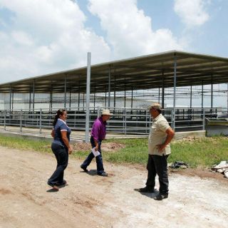 Jalisco refrenda liderazgo pecuario nacional durante 2016