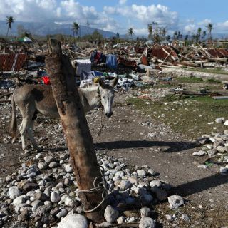 Miles de personas están en riesgo de desnutrición en Haití