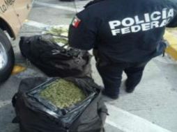 La mariguana es puesta a disposición del Ministerio Público de la Federación. ESPECIAL /