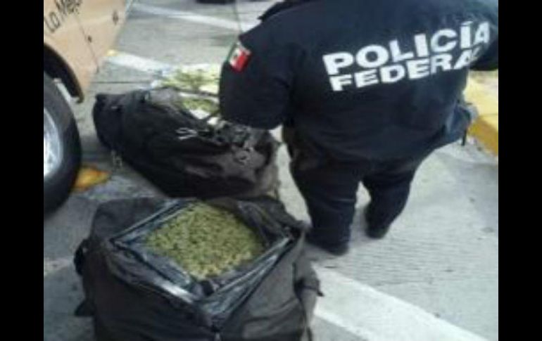 La mariguana es puesta a disposición del Ministerio Público de la Federación. ESPECIAL /