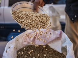 La dieta mediterránea incluye el consumo de grandes cantidades de frutas, verduras, aceite de oliva, frijoles y cereales. EL INFORMADOR / ARCHIVO