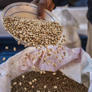 Dieta mediterránea ayuda al mantenimiento del cerebro