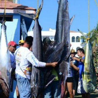 Torneo Internacional de Pesca promoverá atractivos de Jalisco