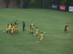 Leones Negros tuvo una buena pretemporada, donde venció a Bravos de Ciudad Juárez, al Atlas y a Mineros de Zacatecas. EL INFORMADOR / ARCHIVO