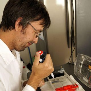 Identifican moléculas causantes de trastornos del sueño