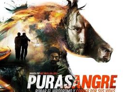 Publicidad. La cinta 'Purasangre' parte de un robo millonario en el hipódromo. ESPECIAL /