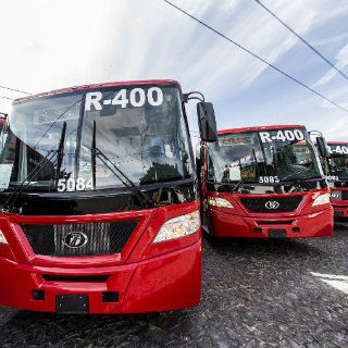 Dan tres meses para desaparecer el Sistecozome