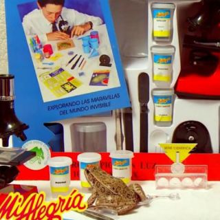 La Cofepris investiga juguete de 'Mi Alegría'