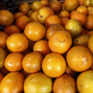 México, quinto productor mundial de naranja