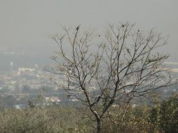 Ante esta situación, la dependencia recomienda a la ciudadanía reducir en lo posible las actividades físicas. EL INFORMADOR / ARCHIVO