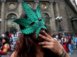 Especialistas llegaron a conclusiones sobre los potenciales beneficios y riesgos del uso medicinal de la mariguana. EL INFORMADOR / ARCHIVO