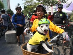 Los ciclistas deben emplear cascos que sean apropiados a su talla. EL INFORMADOR / ARCHIVO