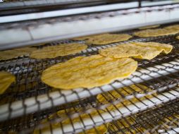 La tortilla de harina requiere de ingredientes como manteca, sal, agua y polvo para hornear, lo que la hace más resistente. NTX / ARCHIVO