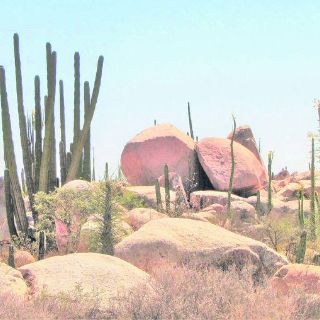 Baja California: la extraña península mexicana