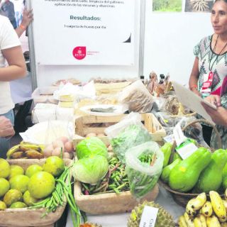 Destaca la zona wixárica en proyectos de producción de alimentos y autoconsumo