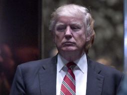 Trump apunta que los republicanos deben moverse rápidamente para aprobar el resto de la nueva agenda. EFE / A. Behar