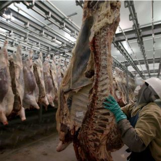 Evade Rastro de Acatlán 2.3 millones en impuestos