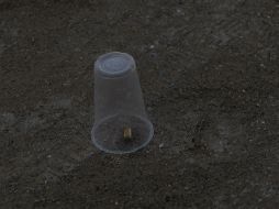 El hombre se encontraba en un negocio ubicado en los cruces de las calles Reyes Heroles y Cándido Navarro, en Guadalajara. EL INFORMADOR / ARCHIVO